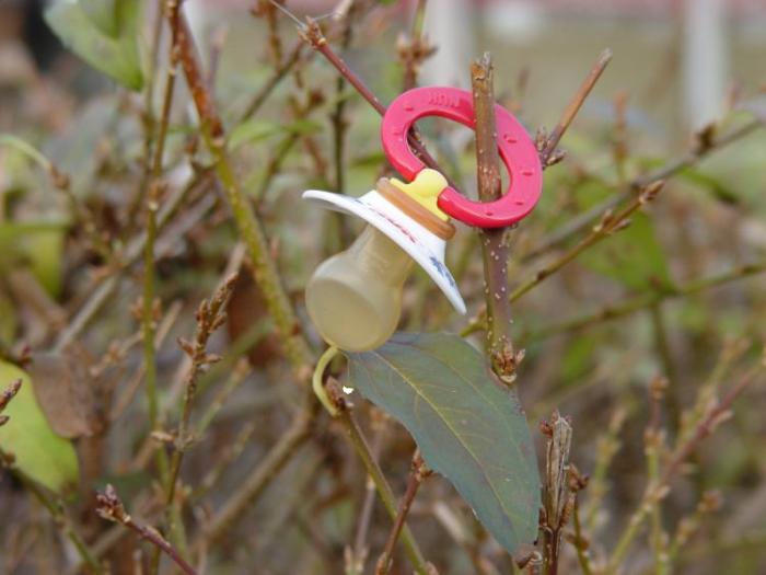 Bedürfnisbefriediger