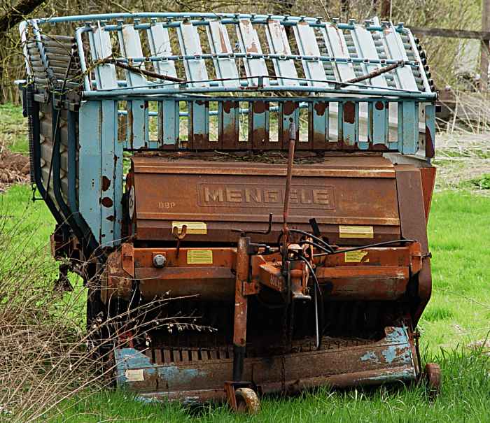 Heuwägelchen - Geduld